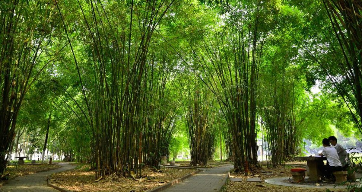 beat365平台官方网站风景